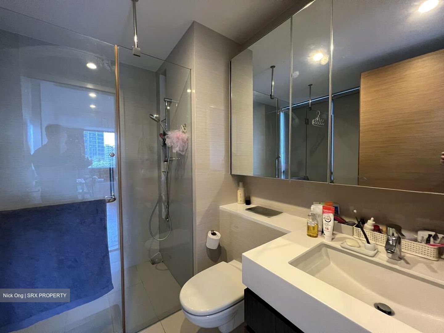 The Palette (D18), Condominium #467678211